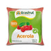 Polpa de Acerola BRASFRUT 100g 